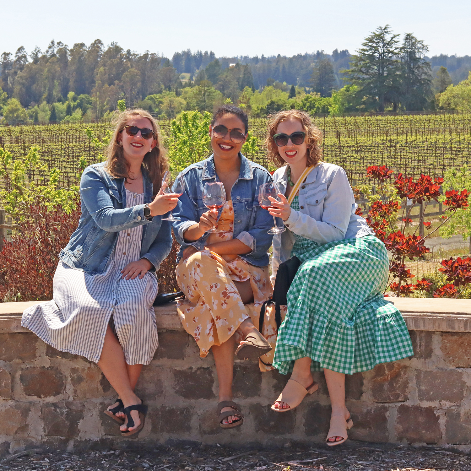 Three women sitting on a wall in front of the vineyards, smiling and toasting