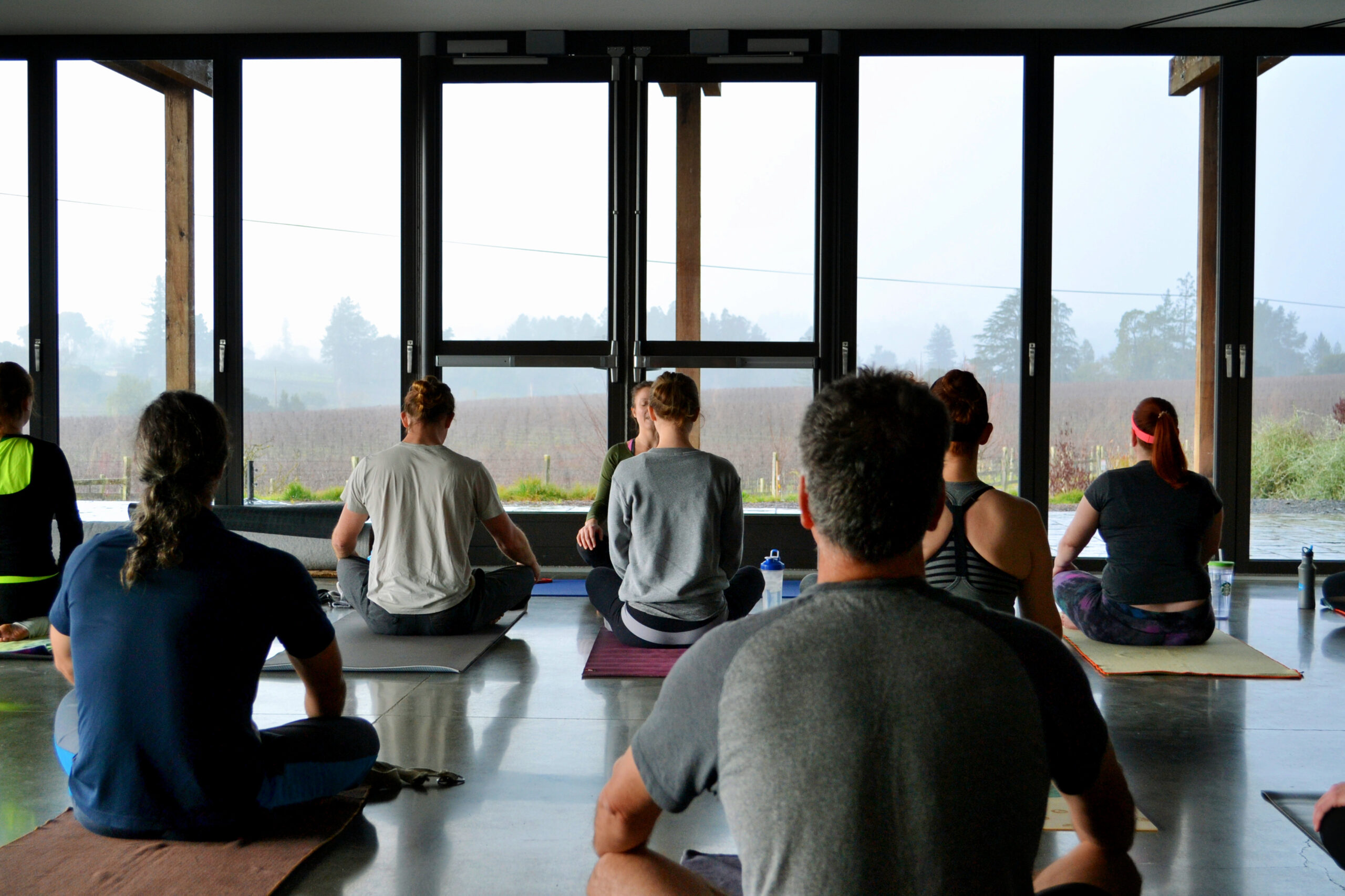 People in a yoga class overlooking the foggy vineyard